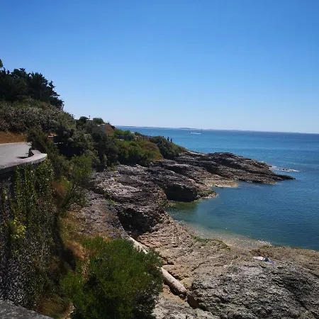 Chez Alex Et Sophie * Louzac-Saint-Andre